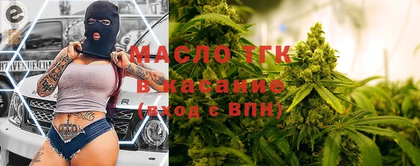 индика Володарск